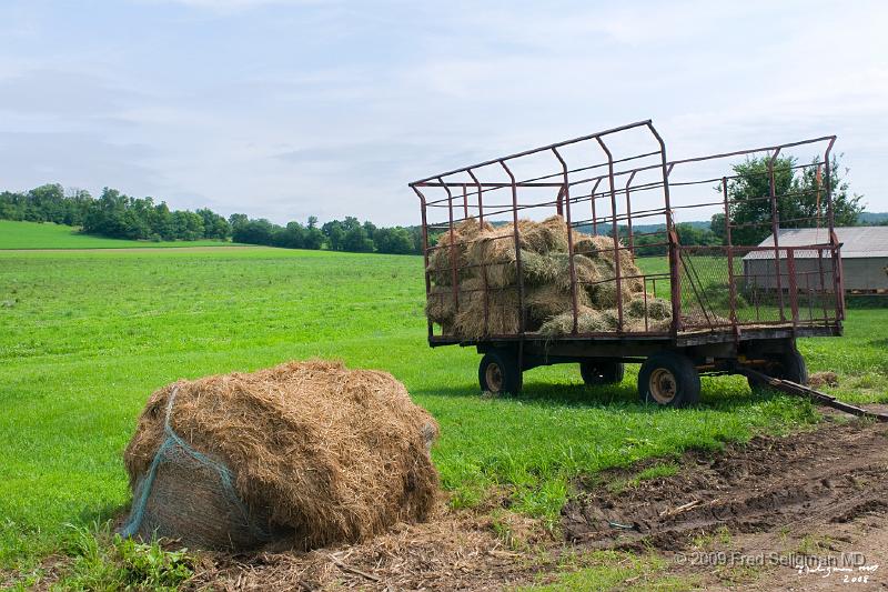 20080718_113908 D300 P 4200x2800.jpg - Garthering the hay, Farm along route 60